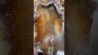 Smashing Ancient Coral Geodes 🪸 #crystals #geology #geodes #rocks #shorts