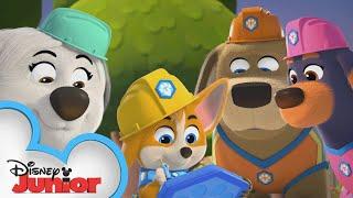 Pupstruction Crew Build's a Blueprint! ‍️| Pupstruction | Compilation | @disneyjr​