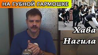 Хава Нагила на губной гармошке