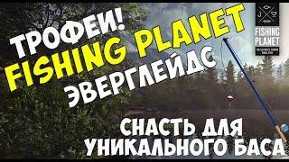 Акватория Эверглейдс/Флорида [Fishing Planet 0.3.6] #10