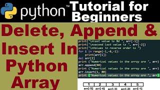 Delete Append and Insert in Python Array | Learning Python #codinginpython #arraysinpython  #arrays