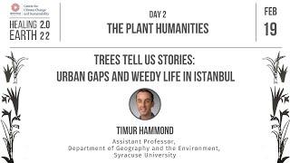 ‘Trees Tell Us Stories: Urban Gaps and Weedy Life in Istanbul’ | Timur W Hammond | Healing Earth 2.0