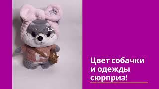 Собачки шиба ину сиба ину друг уточки в очках лалафанфан lalafan