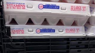 National Egg Day: wholesale egg prices drop, but consumers urged to be patient