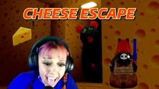 NOOB COMPLETES CHEESE ESCAPE CHAPTER 1 - WALKTHROUGH (WE ESCAPED MR. RAT!!)