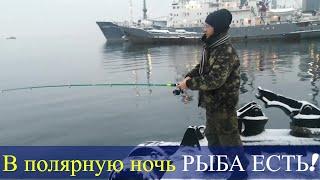 Морская рыбалка в Мурманске - наловили в Баренцевом море 15 кг полярной пикши, сайды и трески!