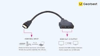 1080P HDMI Male to 2 HDMI Female 1 in 2 Out Splitter Cable Adapter Converter - Gearbest.com