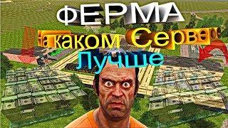 ???? ФЕРМА Где Лучше ????