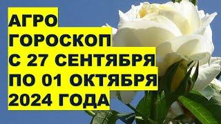 Агрогороскоп с 27 сентября по 01 октября 2024  Agrohoroscope from September 27 to October 01, 2024