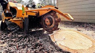 I Rented a Stump Grinder Vermeer SC30TX from Home Depot. Is it Worth it?