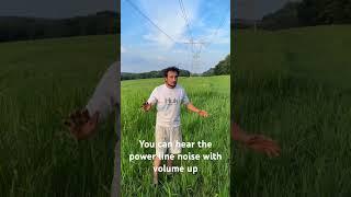 The existing right of way and power line noise #stopeminentdomain #stopmprp @stopMPRP