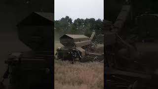 Efficiency Meets Raw Harvest Power #nexatcanola