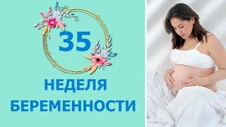 35 Неделя Беременности. Развитие плода и ощущения мамы