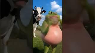 #animation bloated belly of a frog  & Cow _Animation video copyright ©️ free