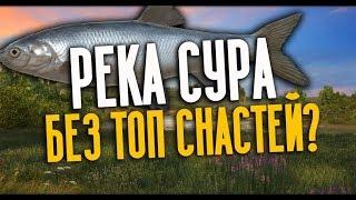 РУССКАЯ РЫБАЛКА 4. Фарм серебра на Суре. Подуст, Чехонь и Плотва без топ снастей.