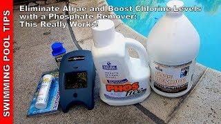Eliminate Algae and Boost Your Pool's Chlorine Level with a Phosphate Remover - This Really Works!