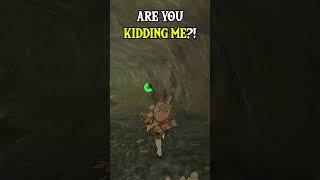 Are You Kidding Me?!  - Zelda Tears of the Kingdom #zelda #randomizer