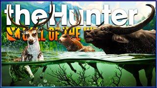 I Hunted Parque Fernando for a WHOLE WEEK & This is What I Found! - the Hunter Call of the Wild