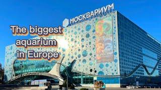 The biggest aquarium in Europe: Moskvarium (Moscow Aquarium)