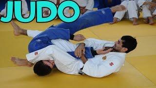 Judo Vines #6