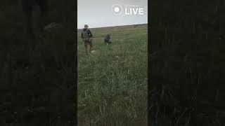 Подготовка к боям за Херсон
