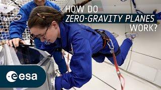 Experiencing zero gravity on Earth