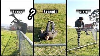 How Different Animals Get Over A Fence. (COMPILATION)