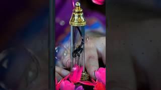 prophet Muhammad ﷺ ️#shorts #youtubeshorts #viral #islamicvideo