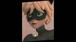 Тётенька вдова#shorts #miraculous #ледибагисуперкот #типприкол #суперкот #врек