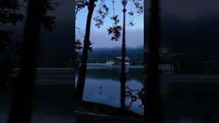 "Kandy Lake frames the sacred Temple of the Tooth, ️️ #KandyTemple #LakeViews"