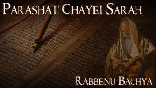 Rabbenu Bachya | Parashat Chayei Sarah - "Follow the signs" - Rabbi Alon Anava