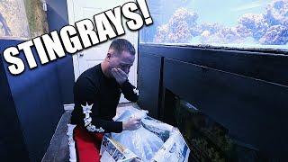 UNBOXING AQUARIUM FISH I HAVE ALWAYS WANTED!