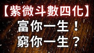 紫微斗數【四化】如何富你一生、窮你一世？麥可大叔30年紫微算命命理老師