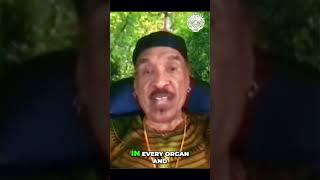 Is Neuromelanin the Key to Immortal Organs? #melanin #ancestors #ifa #spirituality #kabakamene #ase