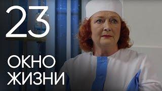 Окно жизни. Серия 23. Мелодрама. Сериал о врачах. Сезон 1. Baby Boxes. Episode 23.