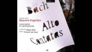 Maarten Engeltjes, Countertenor- Widerstehe doch der Sünde- J.S. Bach BWV 54