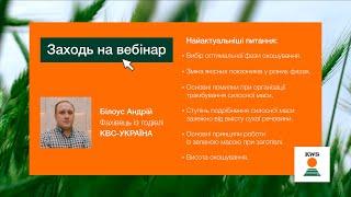 Житній силос: стратегія заготівлі в різних умовах та вибір оптимальної фази