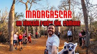 Madagascar : Cosa Dovete Assolutamente Vedere per fare un viaggio NON Commerciale!