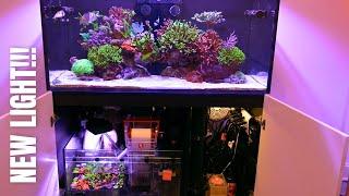 NEW Red Sea ReefLed 160s on Reef Tank Aquarium (RS Reefer 425XL) - EP#12