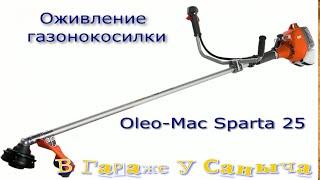 Оживление газонокосилки Oleo Mac Sparta 25