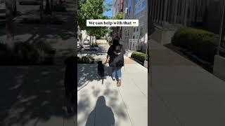 Mental health walks? 