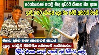 Indi Raja මහා කලබල මැද නුවරට රැගෙන ගිය ඉන්දි රාජා හස්තියා අද දළදා මාලිගාවේ සිටින පරිණතම ඇත් රජු