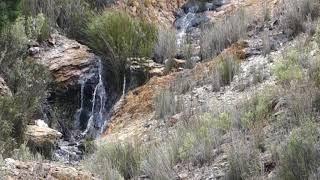 Lyell Highway Waterfall, Queenstown - Tasmania, Australia