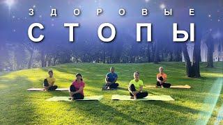 ЗДОРОВЫЕ СТОПЫ