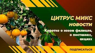 Новости Цитрус Микс -  коротко о  главном