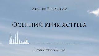 Бродский - Осенний крик ястреба (чит. Пацино - муз. S. Barber)