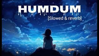 Savi_Humdum [slowed + reverb] new lofi song Humdum