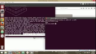 Redis: How to start redis server