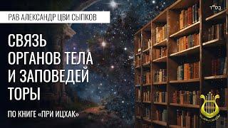 Урок 3. Связь органов тела и заповедей Торы по книге «При Ицхак». Рав Александр Цви Сыпков