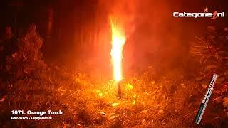 1071 - Orange Torch - Categorie1.nl